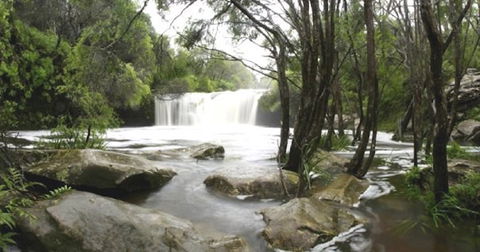 Nellies Glen Carrington Falls - Accommodation Resorts 0