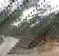 Paddys Ranges State Park - Accommodation Resorts