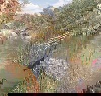 Palm Springs - Accommodation Resorts