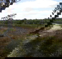 Penola Conservation Park - Accommodation Resorts