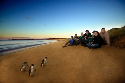 Phillip Island - Accommodation Resorts 2