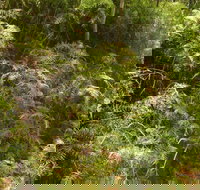 Powder Magazine walking track - Accommodation Resorts