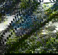 Rainforest Walking Track Hat Head National Park - Accommodation Resorts