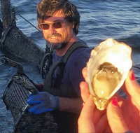 Southern Yorke Oysters - Accommodation Resorts