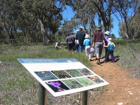 South Gundagai Woodlands Walk - Accommodation Resorts 0