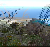 Strzelecki Peaks Great Short Walk - Accommodation Resorts