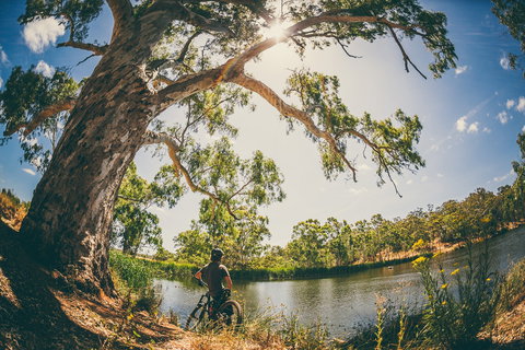 Sturt Gorge Recreation Park - Accommodation Resorts 0