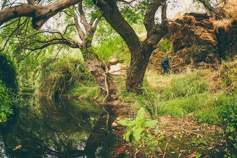 Sturt Gorge Recreation Park - Accommodation Resorts 1