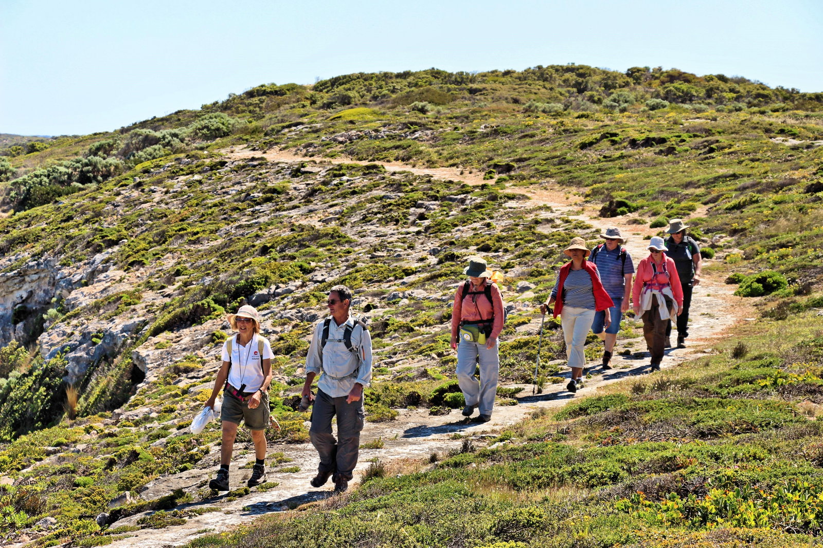  Accommodation Resorts