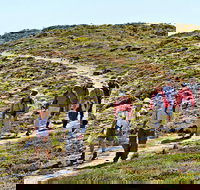 The Sole Walk at Hillocks Drive - Accommodation Resorts