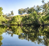 Tumut River Walk - Accommodation Resorts