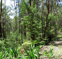 Tyers Park - Accommodation Resorts