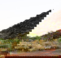 Whyalla Conservation Park - Accommodation Resorts