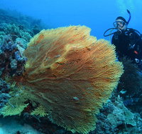 Wistari Wall - Accommodation Resorts