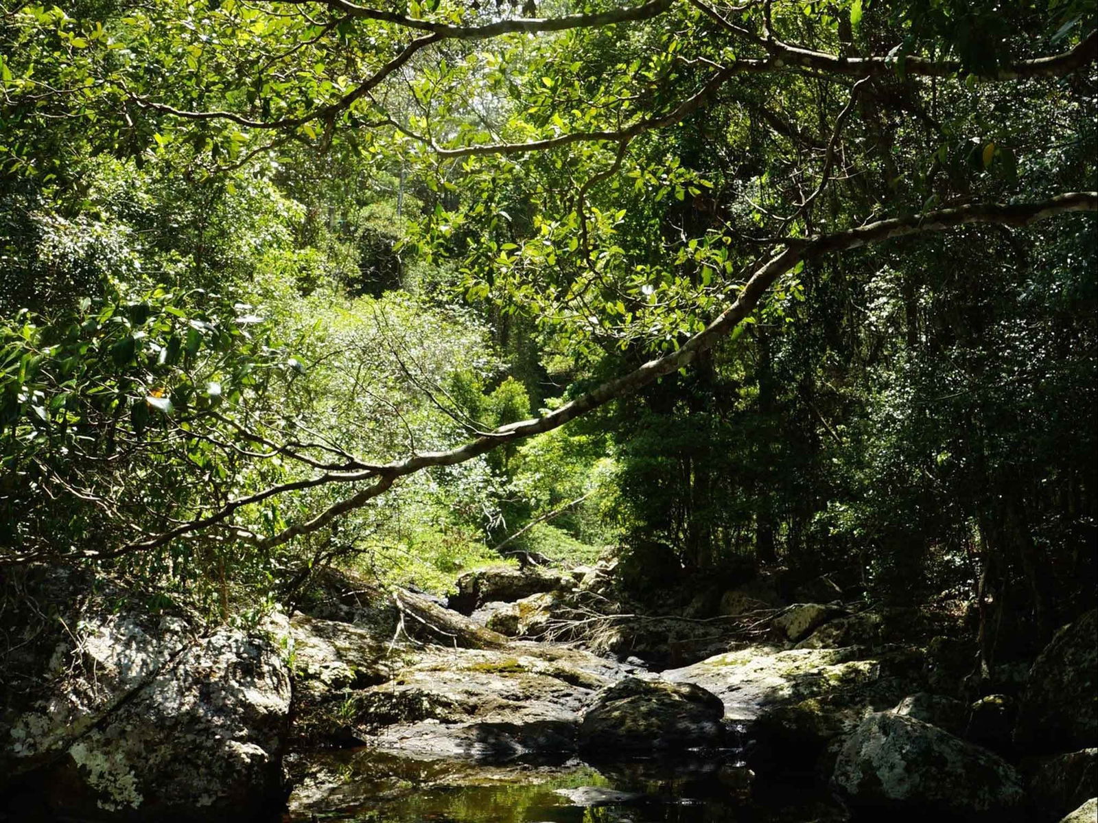 Witta QLD Accommodation Resorts