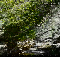 Witta - Accommodation Resorts