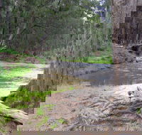Bangadilly National Park - Accommodation Resorts