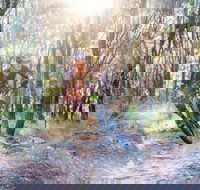 Bayview Conservation Area - Accommodation Resorts