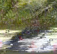 Berry Springs - Accommodation Resorts