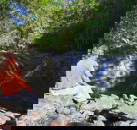 Booloumba Falls Walk Conondale National Park - Accommodation Resorts