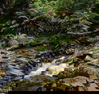 Budderoo National Park - Accommodation Resorts