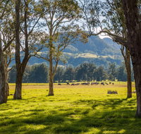 Coast to the Highlands Scenic Drive  Kangaroo Valley - Accommodation Resorts