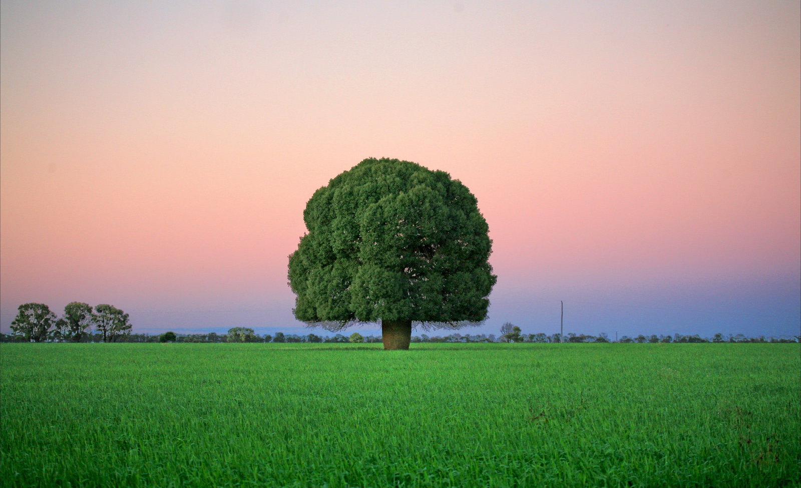 Pine Hills QLD Accommodation Resorts