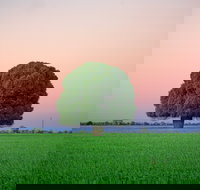 Condamine - Accommodation Resorts