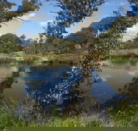 Cooleman Ridge - Accommodation Resorts