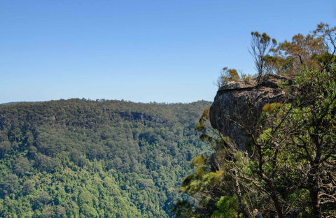 Cooks Nose Walking Track - Accommodation Resorts 0