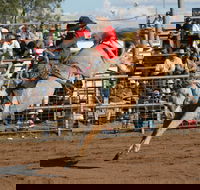 Coonamble - Accommodation Resorts