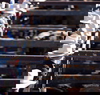 Dalby - Accommodation Resorts