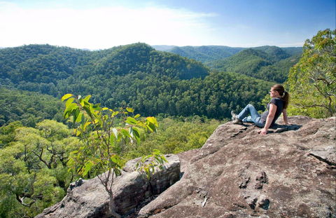 Dubbo Gully Loop Trail - Accommodation Resorts 0