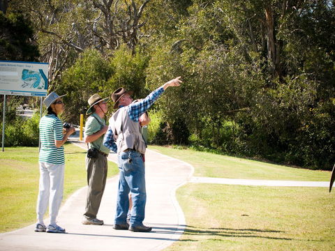 Eagleby Wetlands - Accommodation Resorts 2