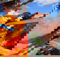 Farm Visit  Dungog - Accommodation Resorts