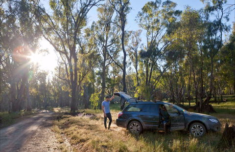 Forest Drive, Murrumbidgee Valley National Park - Accommodation Resorts 0