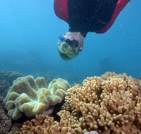 Geoffrey Bay Snorkel Trail - Accommodation Resorts