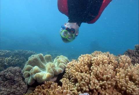 Geoffrey Bay Snorkel Trail - Accommodation Resorts 0
