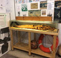 George The Giant Squid Display Wallaroo - Accommodation Resorts