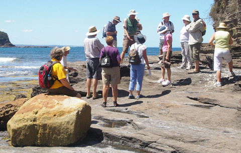Gondwana Coast Fossil Walk - Accommodation Resorts 0