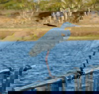 Groper Creek - Accommodation Resorts