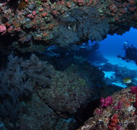 Hutchinson Shoal Dive Site - Accommodation Resorts
