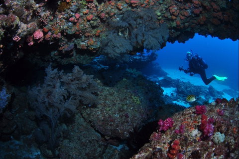 Hutchinson Shoal Dive Site - Accommodation Resorts 0