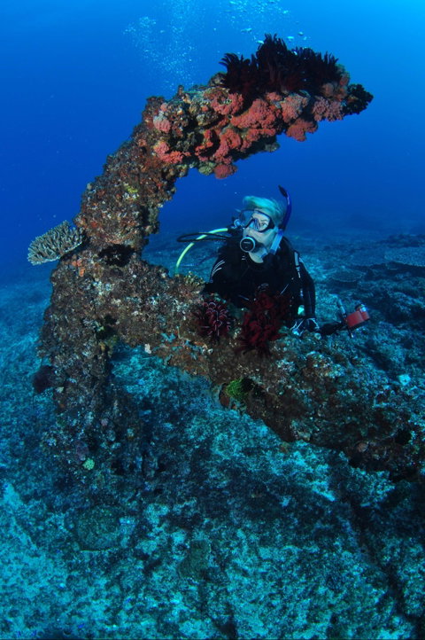 Hutchinson Shoal Dive Site - Accommodation Resorts 1