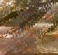 Kholo Gardens Trails - Accommodation Resorts