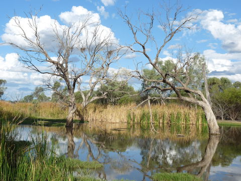 Lagoon Creek - Accommodation Resorts 0