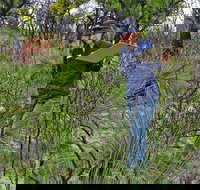 Lake Monjingup - Accommodation Resorts