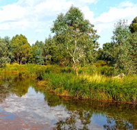 Mansfield Mullum Wetlands - Accommodation Resorts