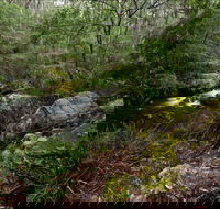 Mongarlowe River picnic area - Accommodation Resorts