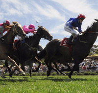 Moruya Racecourse - Accommodation Resorts